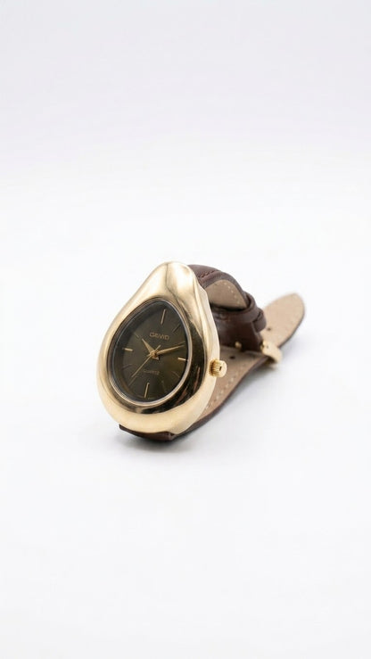 Montre calvini marron